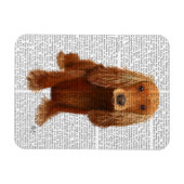 Cocker Spaniel Plain Magneet (Horizontaal)
