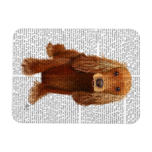 Cocker Spaniel Plain Magneet (Horizontaal)