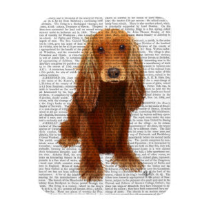 Cocker Spaniel Plain Magneet