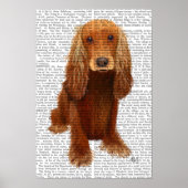 Cocker Spaniel Plain Poster (Voorkant)