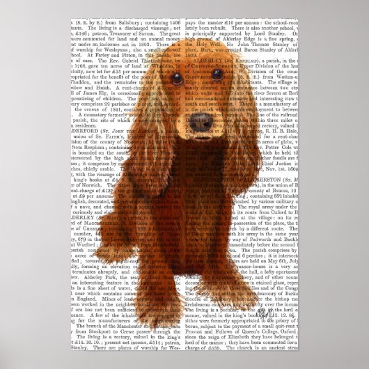 Cocker Spaniel Plain Poster (Voorkant)