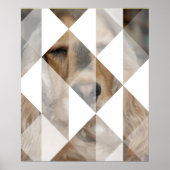 Cocker Spaniel Poster (Voorkant)