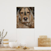 Cocker Spaniel Poster (Keuken)