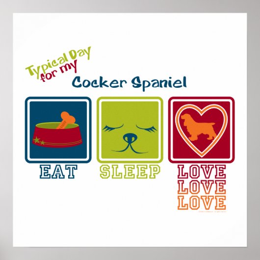 Cocker Spaniel Poster (Voorkant)