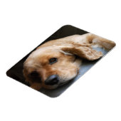Cocker Spaniel Premium Magnet Magneet (Linkerzijde)