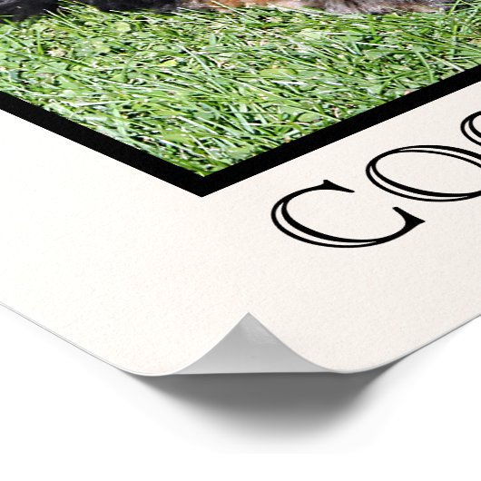 Cocker Spaniel Print (Hoek)