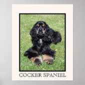 Cocker Spaniel Print (Voorkant)