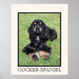 Cocker Spaniel Print