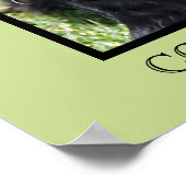 Cocker Spaniel Print (Hoek)