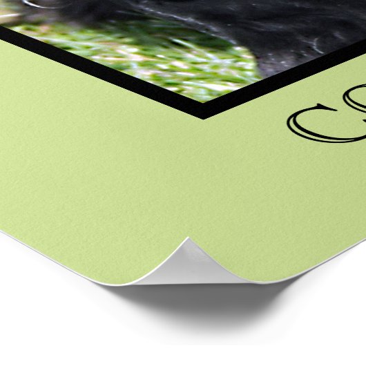 Cocker Spaniel Print (Hoek)