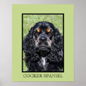 Cocker Spaniel Print (Voorkant)