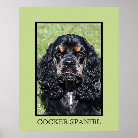 Cocker Spaniel Print (Voorkant)