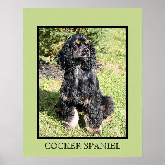 Cocker Spaniel Print (Voorkant)