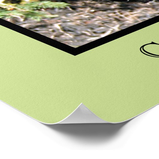 Cocker Spaniel Print (Hoek)