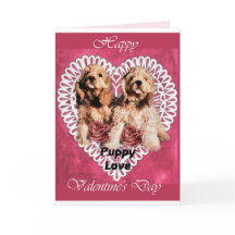 Cocker Spaniel Puppies Valentijns