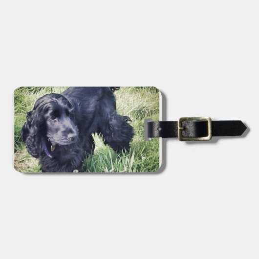 Cocker Spaniel Puppy Bagagelabel (Voorkant horizontaal)