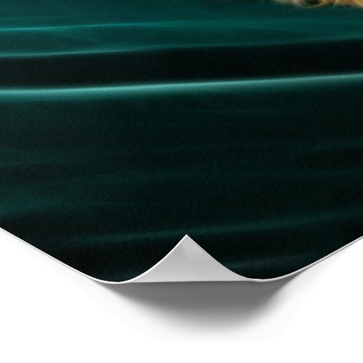 Cocker Spaniel Puppy Dog Poster (Hoek)