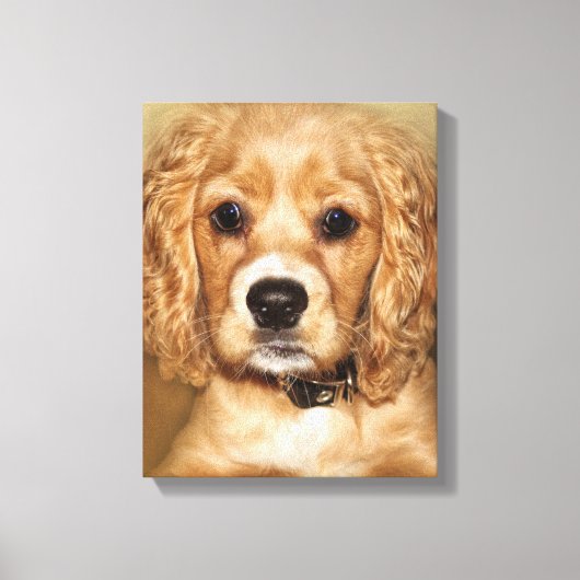 Cocker Spaniel Puppy Portrait Canvas Wrap (Voorkant)