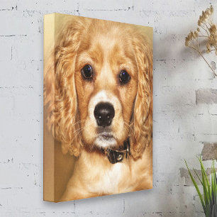 Cocker Spaniel Puppy Portrait Canvas Wrap
