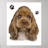 Cocker spaniel puppy poster (Voorkant)