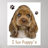Cocker spaniel puppy poster (Voorkant)