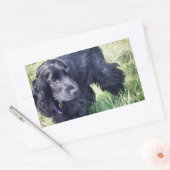 Cocker Spaniel Puppy Rechthoekige Sticker (Envelop)