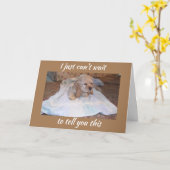 COCKER SPANIEL PUPPY WISHEERT U HAPPY BIRTHDAY KAART (Gele Bloem)