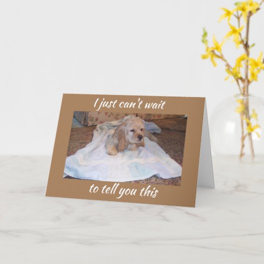 COCKER SPANIEL PUPPY WISHEERT U HAPPY BIRTHDAY KAART (Gele Bloem)