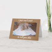 COCKER SPANIEL PUPPY WISHEERT U HAPPY BIRTHDAY KAART (Voorkant)