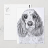 Cocker Spaniel Red White Briefkaart (Voorkant / Achterkant)