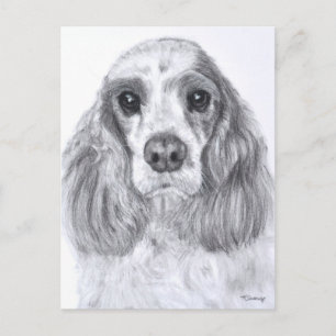Cocker Spaniel Red White Briefkaart