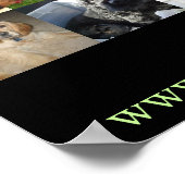 Cocker Spaniel Rescue Poster 2005 (Hoek)