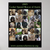 Cocker Spaniel Rescue Poster 2005 (Voorkant)