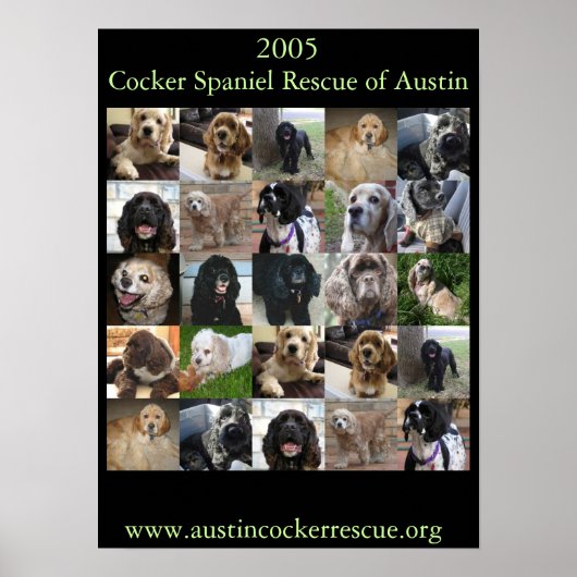 Cocker Spaniel Rescue Poster 2005 (Voorkant)