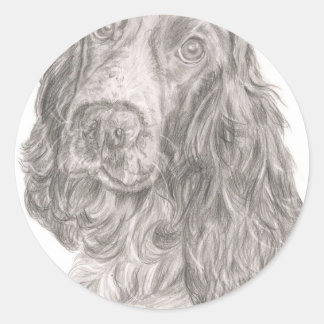 Cocker Spaniel Ronde Sticker