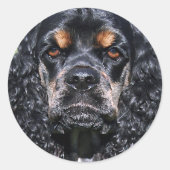 Cocker Spaniel Ronde Sticker (Voorkant)
