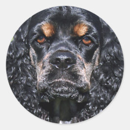 Cocker Spaniel Ronde Sticker