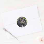 Cocker Spaniel Ronde Sticker (Envelop)