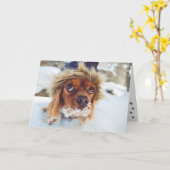 Cocker Spaniel ruikt verjaardagstaart Kaart (Gele Bloem)