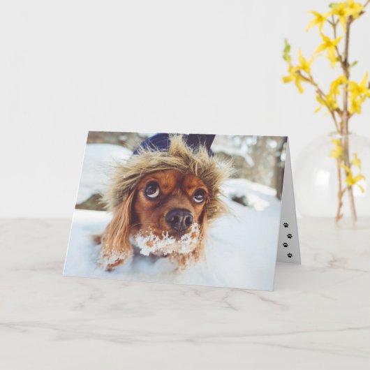 Cocker Spaniel ruikt verjaardagstaart Kaart (Gele Bloem)