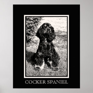 Cocker Spaniel Schets Poster