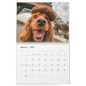 Cocker Spaniel Selfie Tour - Reisagenda Kalender (Feb 2027)