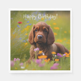 Cocker Spaniel Servet