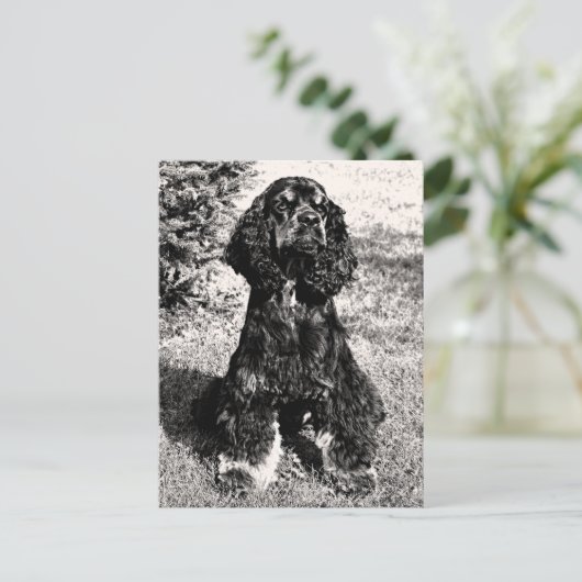 Cocker Spaniel Sketch Briefkaart (Staand voorkant)