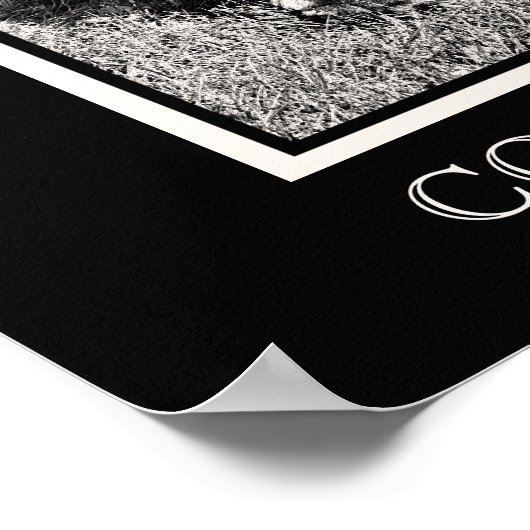 Cocker Spaniel Sketch Poster (Hoek)