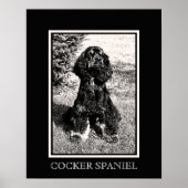 Cocker Spaniel Sketch Poster (Voorkant)