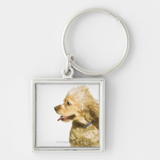 Cocker Spaniel Sleutelhanger (Voorkant)