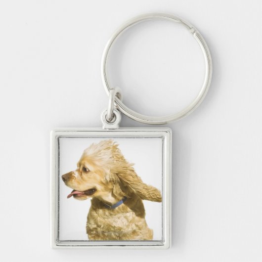 Cocker Spaniel Sleutelhanger (Voorkant)