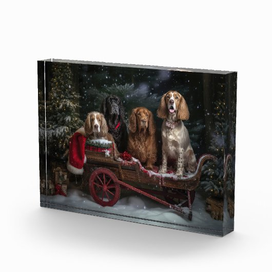 Cocker Spaniel Sneeuwslee Kerstdecoratie Fotoblokken (Rechts)