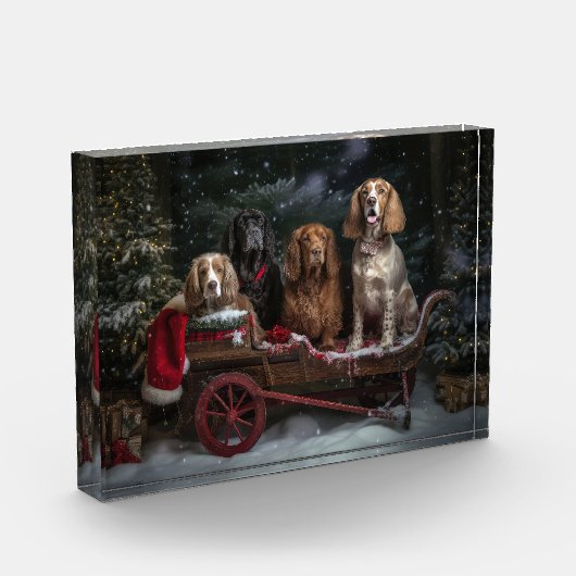 Cocker Spaniel Sneeuwslee Kerstdecoratie Fotoblokken (Links)